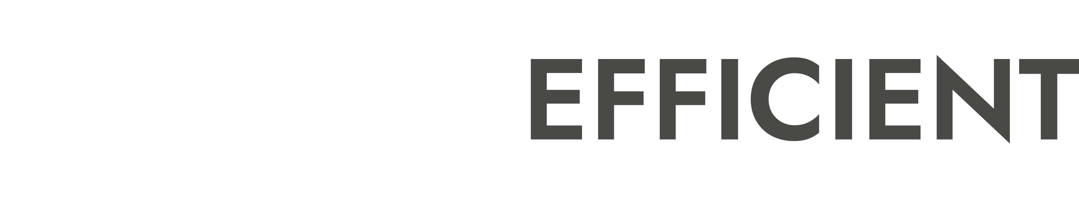 ParkEfficient Logo